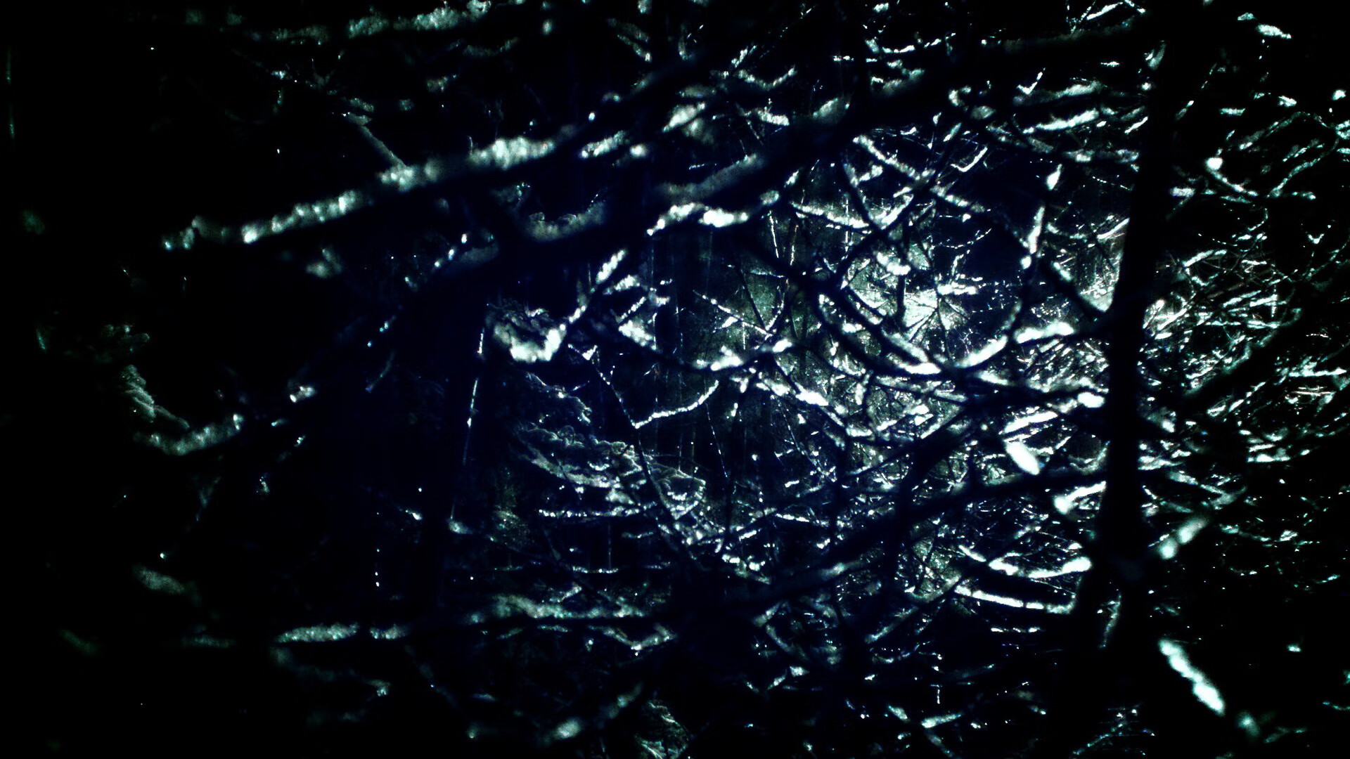 2025赛季最精彩的单圈盘点