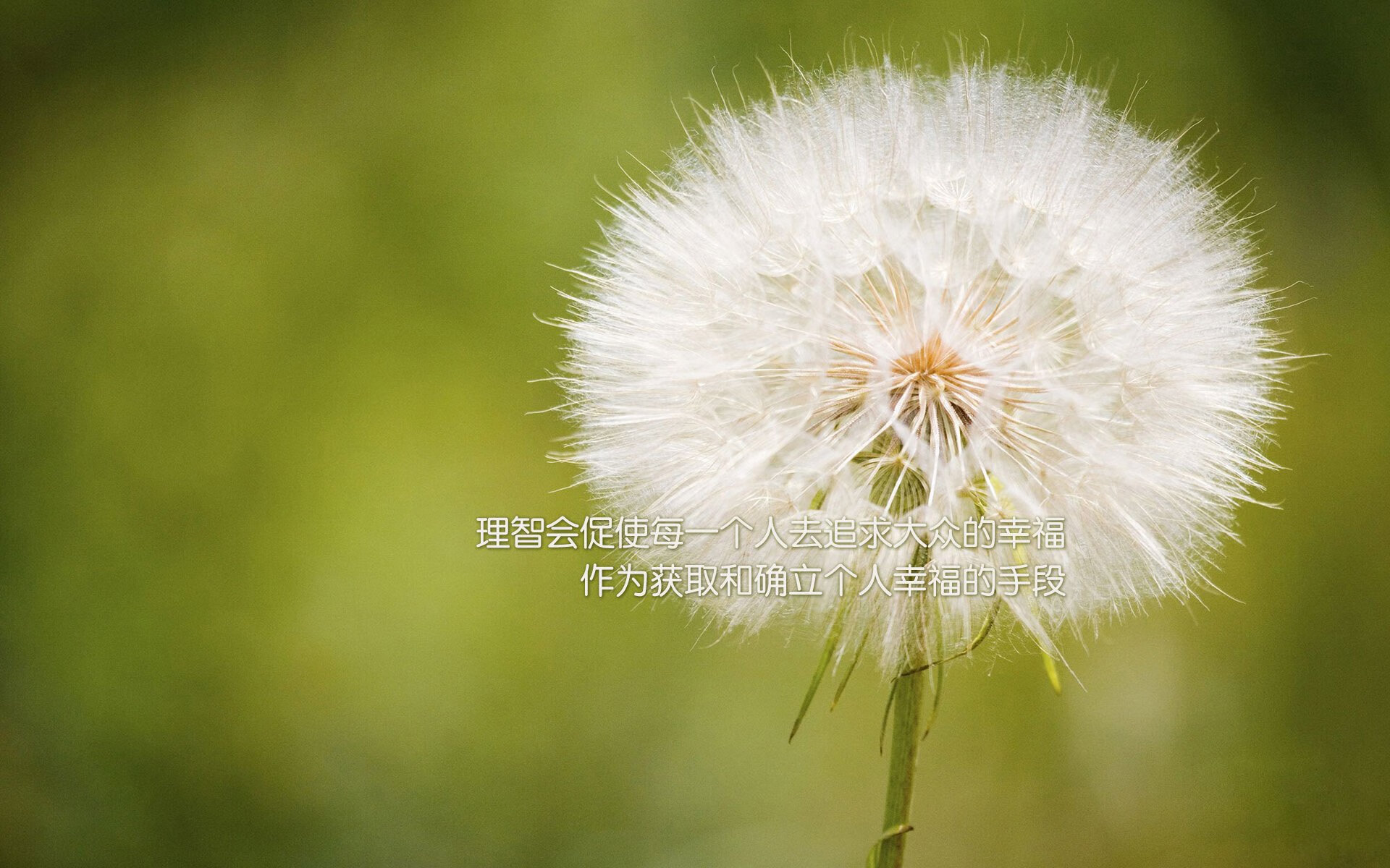 751.“青春启航”青少年篮球体验营在武汉拉开帷幕,推动全民健身