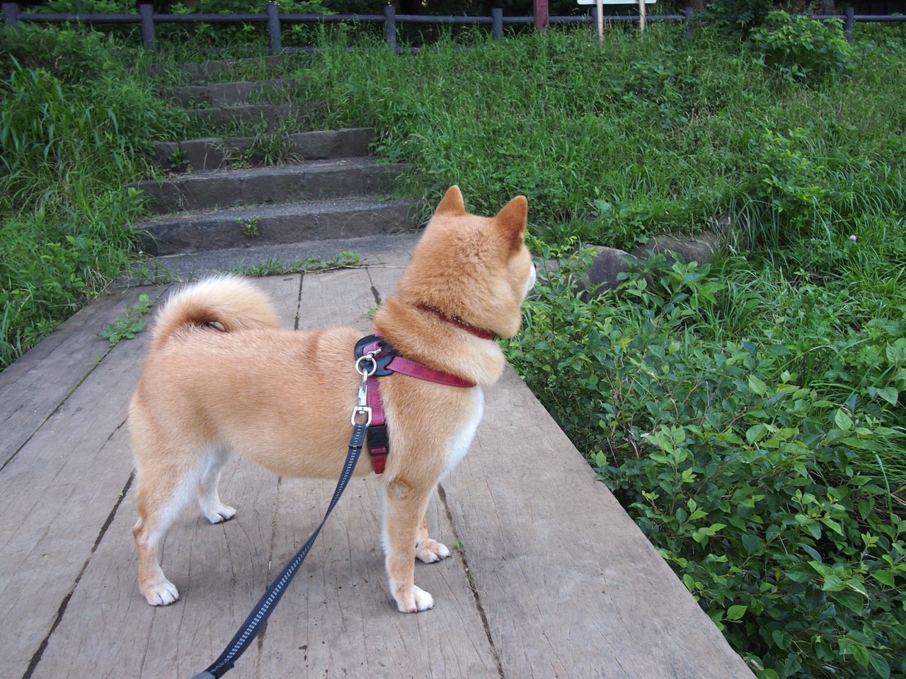 爱游戏官方网站-_未来体育大数据：智能分析助力突破_，体育大数据概念