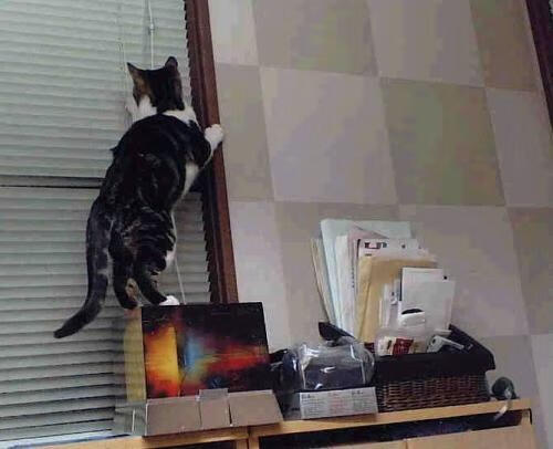 爱游戏中国官方网站平台-_赛事总结：最难忘的瞬间大盘点_，最难忘的瞬间800字记叙文