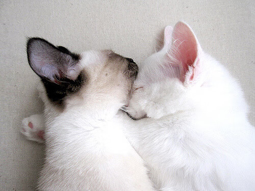 爱游戏官网-各队潜力股大曝光：明年有望大放异彩的新星，今年潜力股