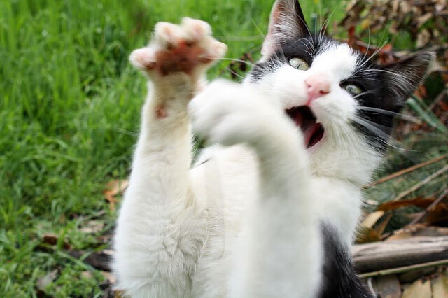 弱队变强队:靠什么走出低谷?,弱队打强队的足球战术