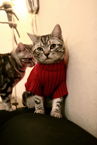 爱游戏娱乐-德甲不断提升移动裁判技术，确保比赛公正