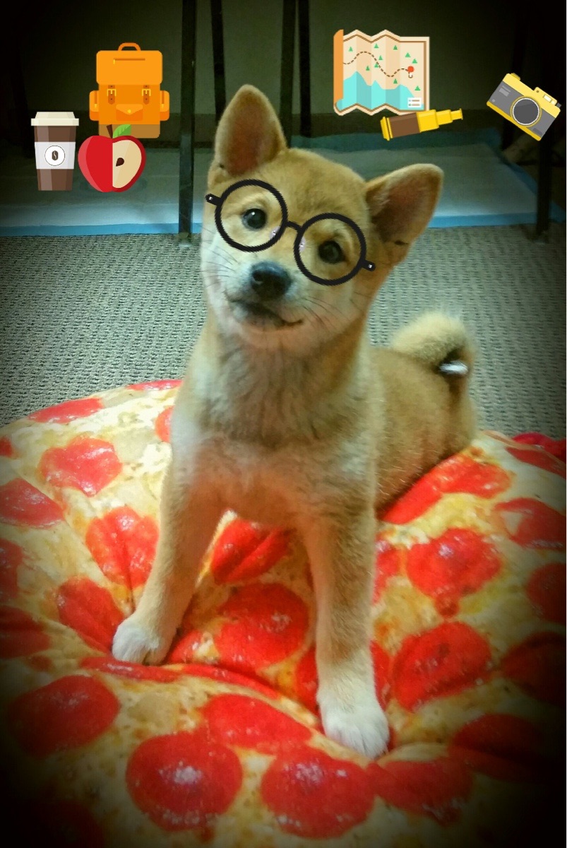 法甲新成立青训联盟，打造足球青训“生态圈”，法国队青训