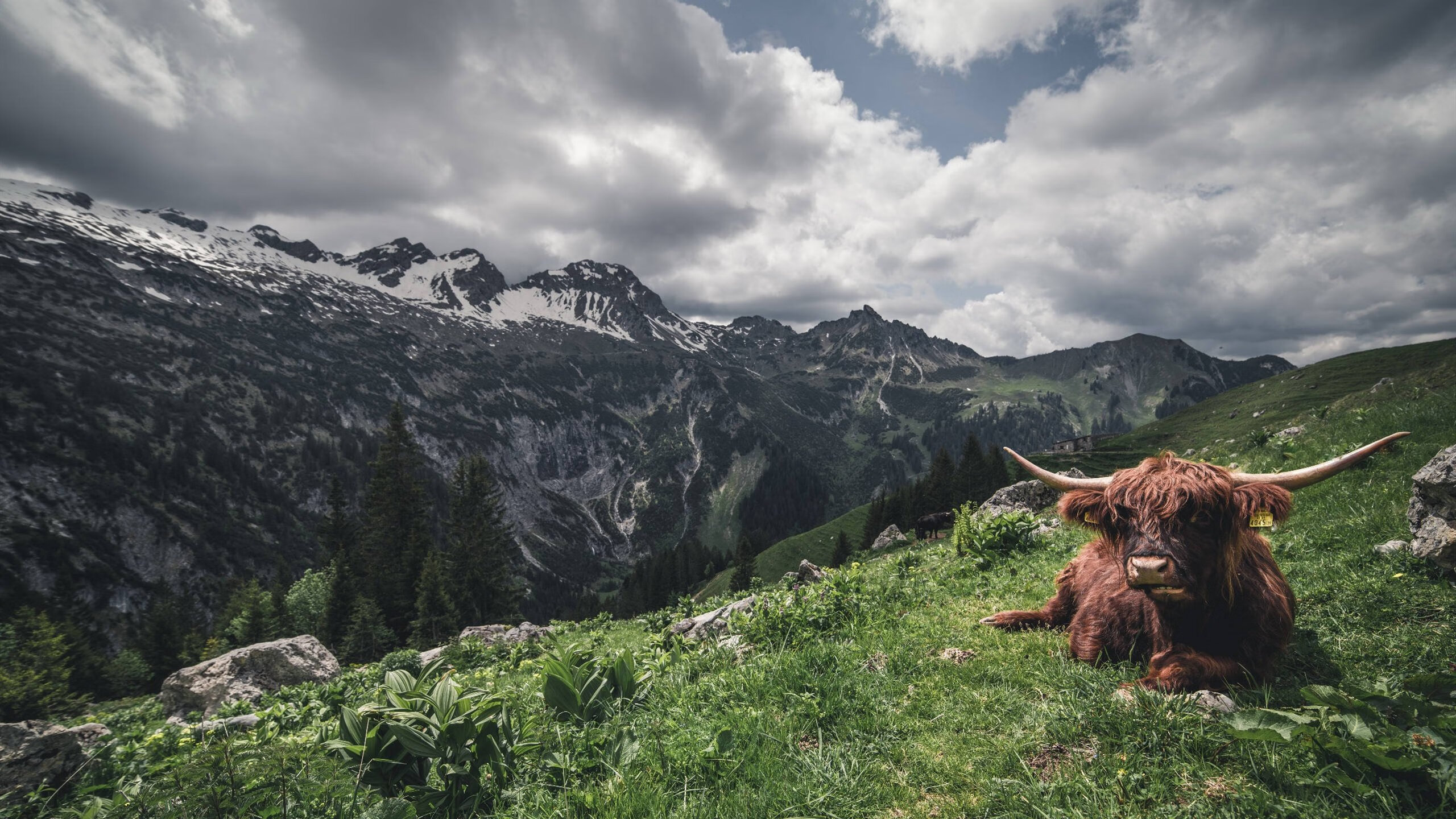 英超逆转奇迹,比分4-3,梅开二度,关键数据:传球成功率88%,英超各轮比分大全