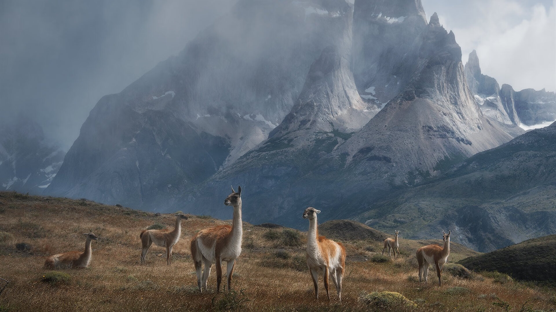 科比：用雷霆万钧的坚韧震撼NBA！，科比单挑雷霆三少