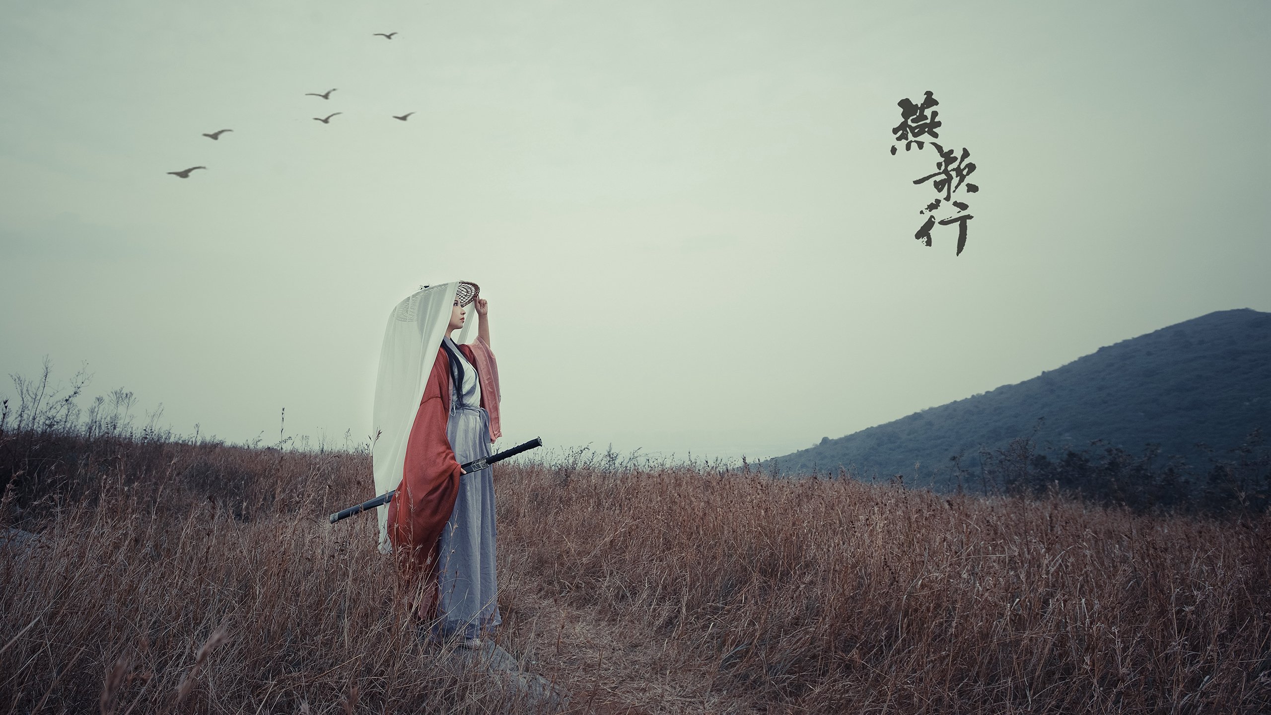 赛场内幕:台球高手的训练秘籍,台球基础训练视频