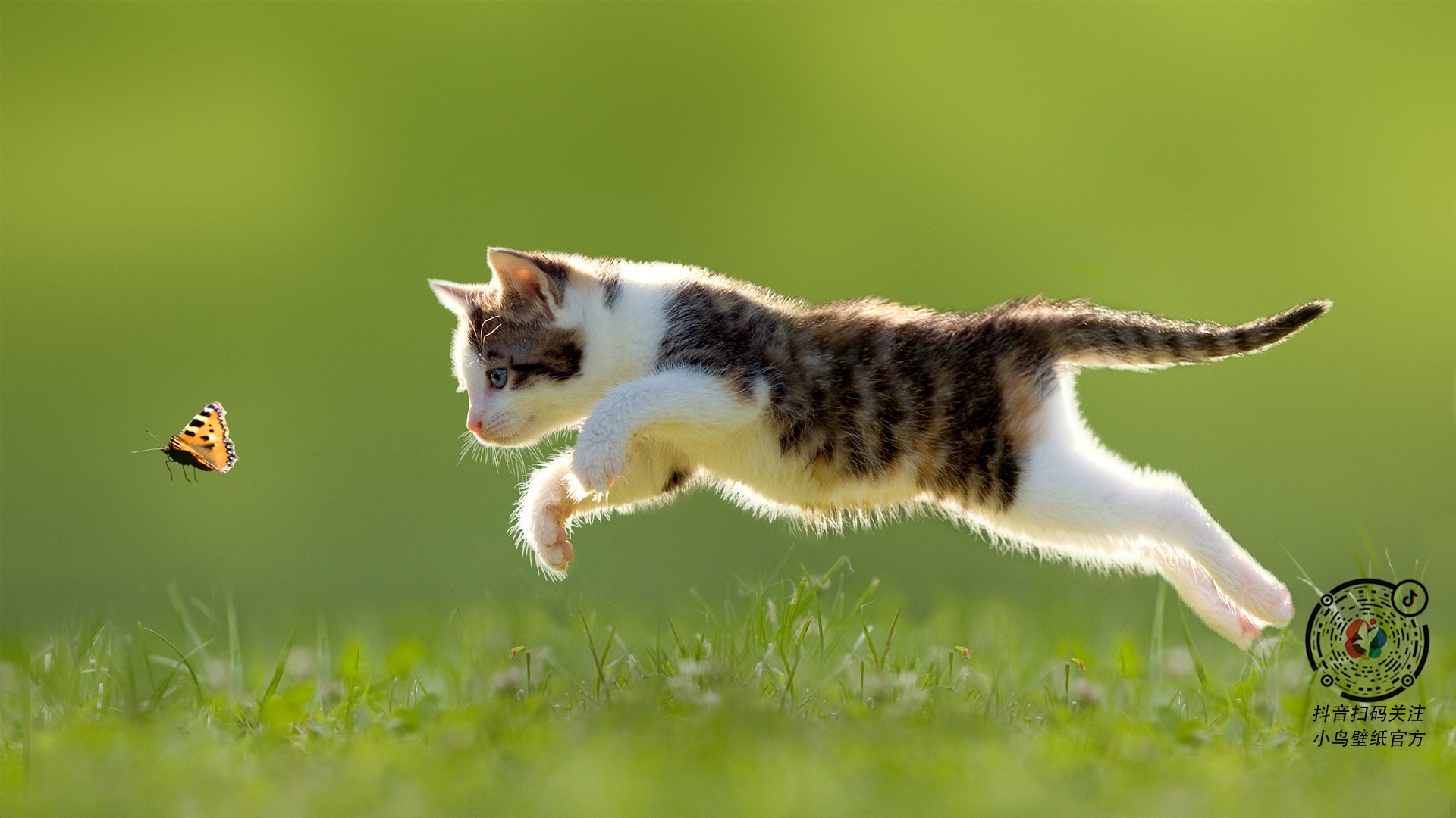 足球战术互动软件进入中超战术课堂,足球战术下载