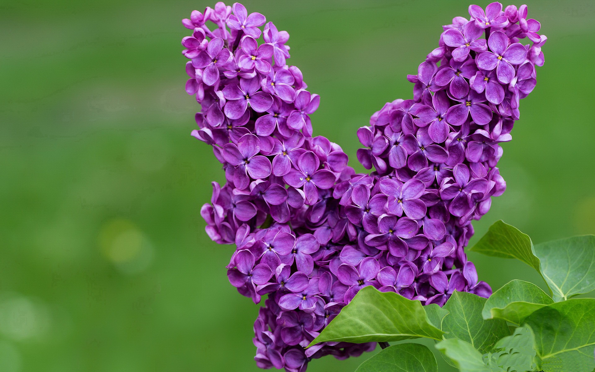 爱游戏官方网站-北马其顿挑战爱沙尼亚，欧洲国家联赛势均力敌，北马其顿足球强不强