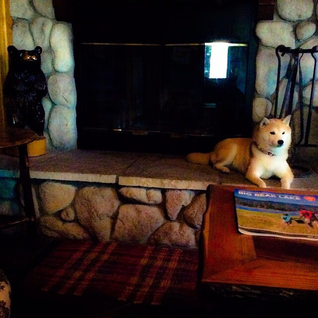 巴西球星预计在本赛季结束后退役,巴西队现在的球星