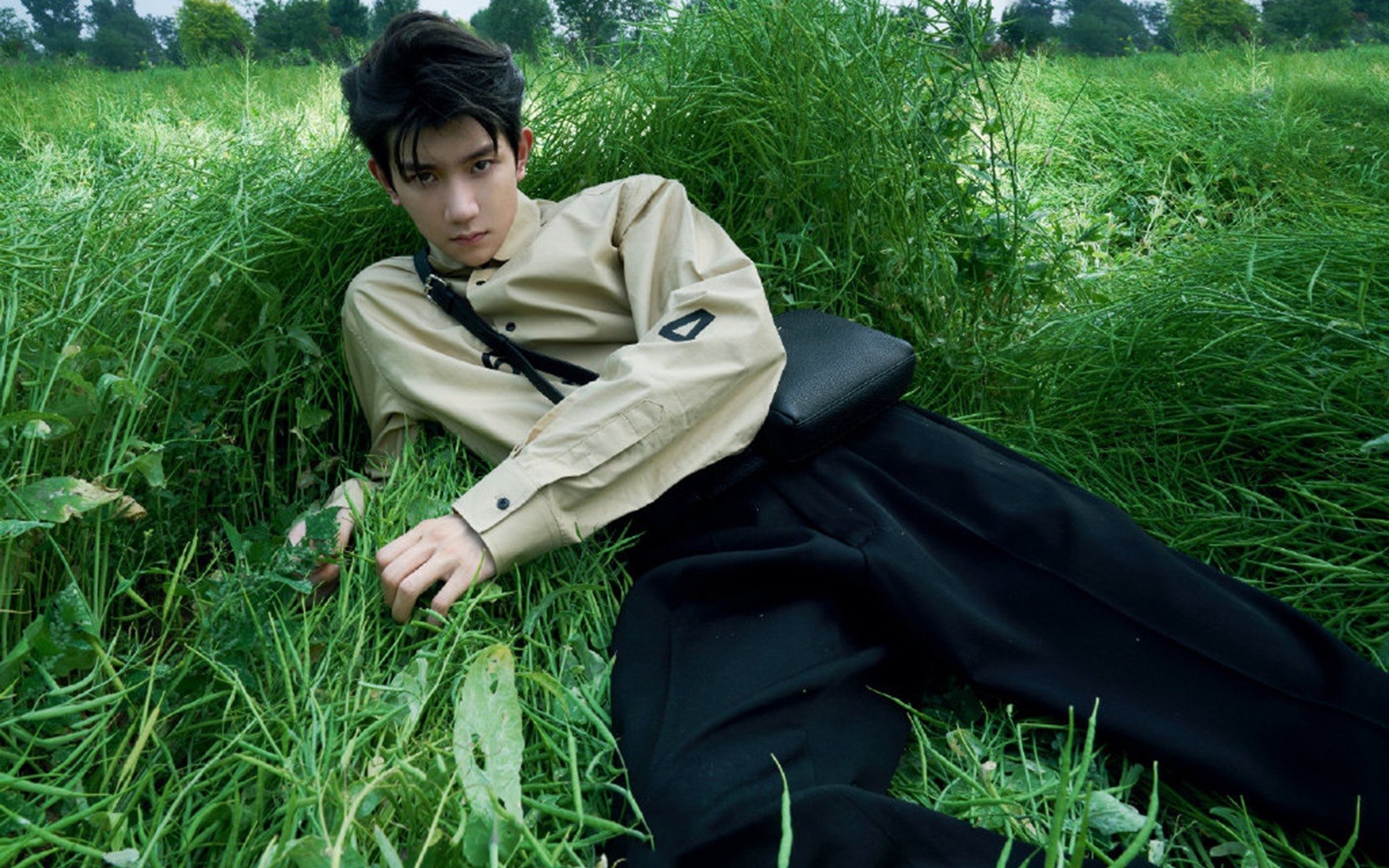 T1赛区粉丝支持力度加大，t1战队成绩