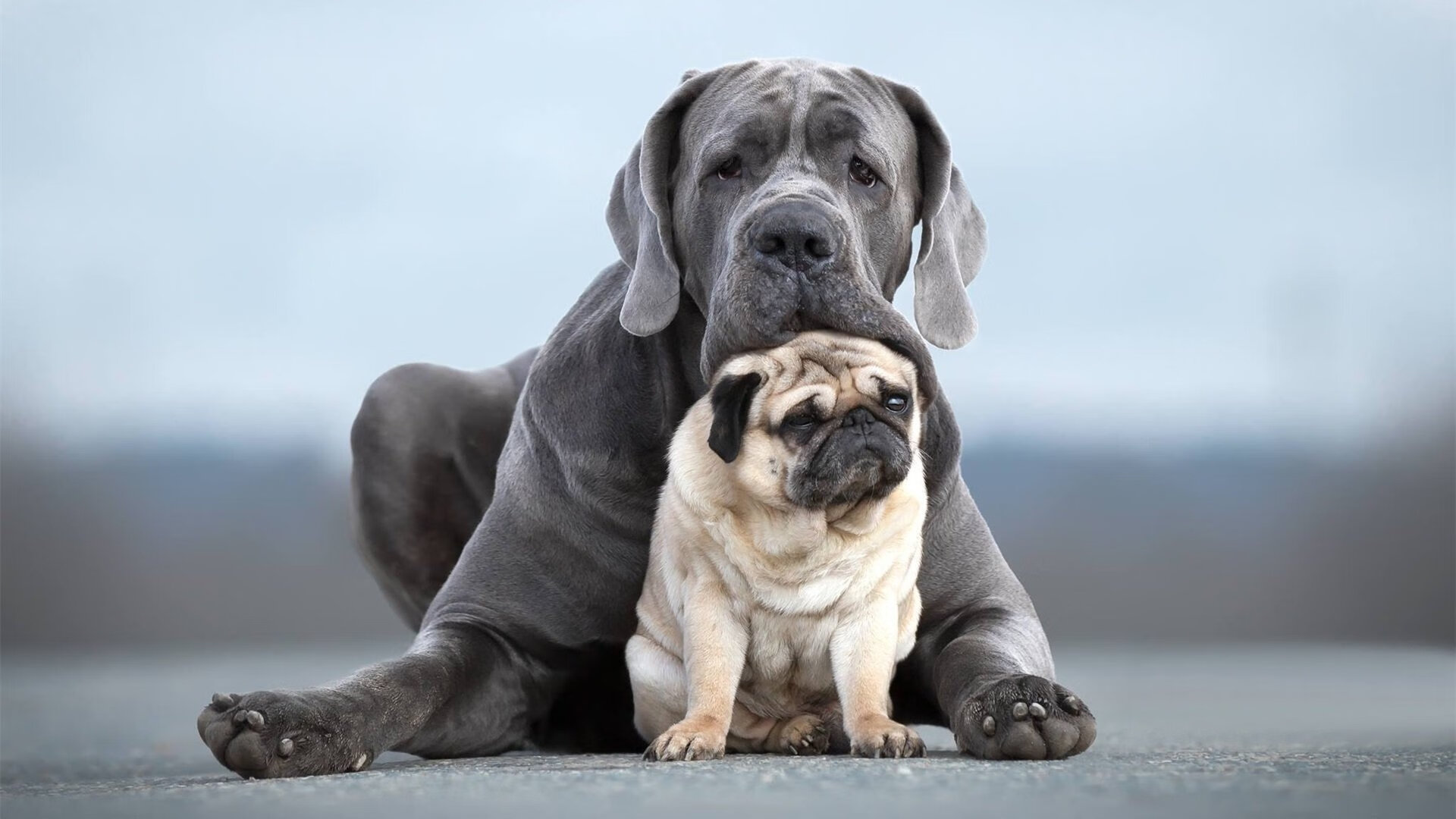 爱游戏娱乐网址-中国足球改革助力青少年足球普及，【特写】中国青少年足球_大浪潮与小现实