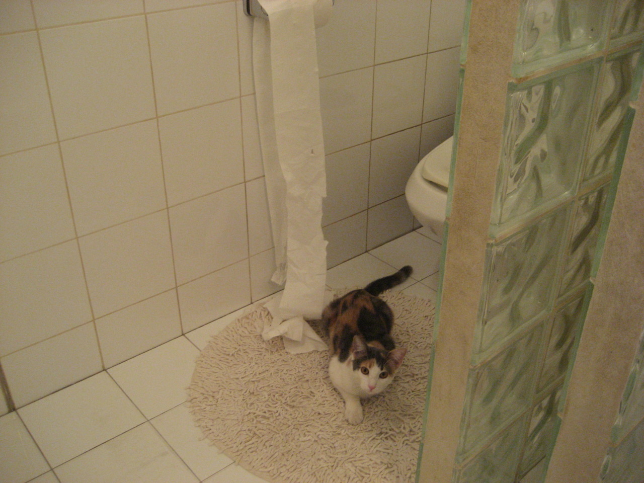 火箭新星连续得分点燃主场，新火箭人