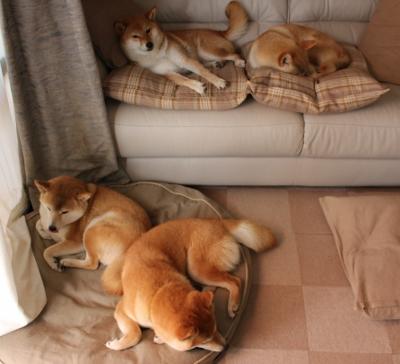 甘肃铁人战胜四川金盾队，实现领先，甘肃铁厂