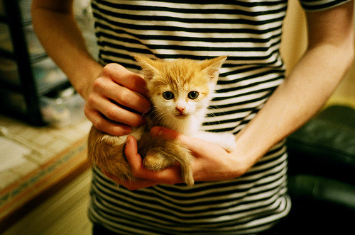 爱游戏app下载-石油人防守端抢断次数增加，石油人防守端抢断次数增加的原因