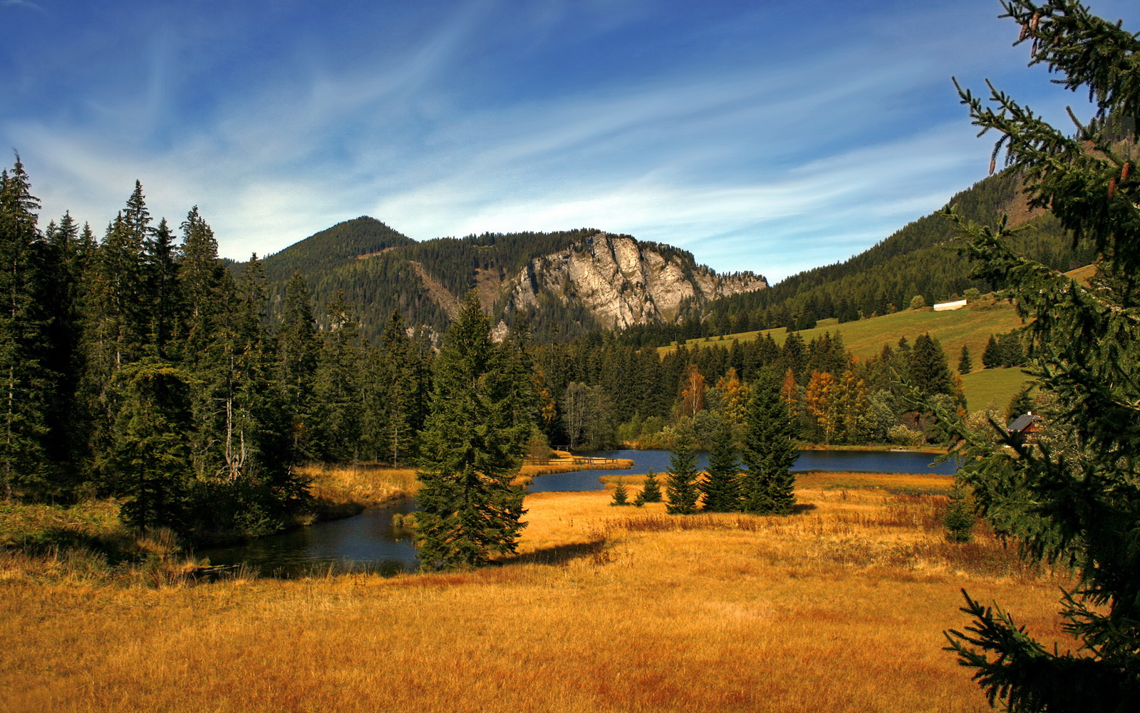职业篮球赛事安全保障，篮球安全防范措施
