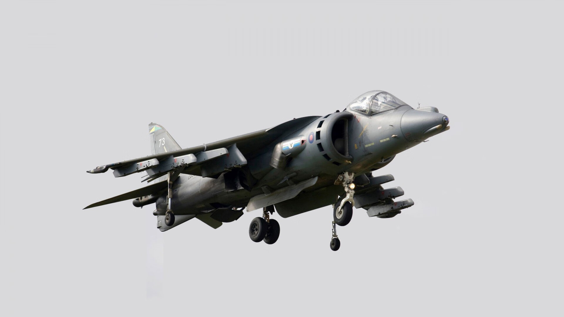 AYX GAME-官方马术联合队医组建备战奥运，马术国家队