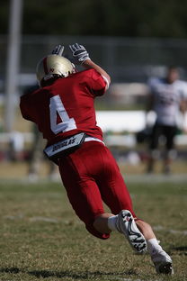 爱游戏体育-全国青少年跳水锦标赛在深圳火热进行，全国青少年跳水比赛