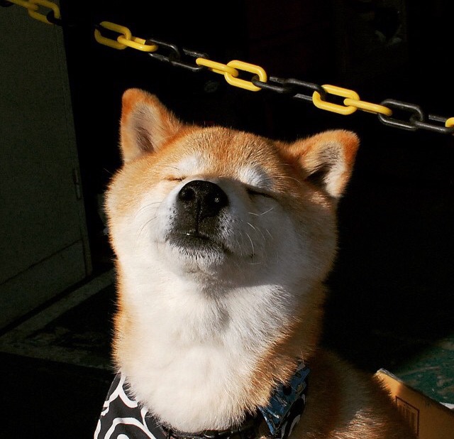 AYX GAMING-尼斯利用速度打出高效快速反击，尼斯利用速度打出高效快速反击的方法