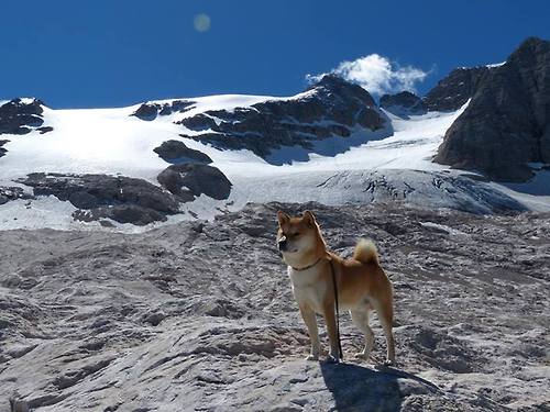 中超联赛球员战术执行风险类型分类，中超防守型中场