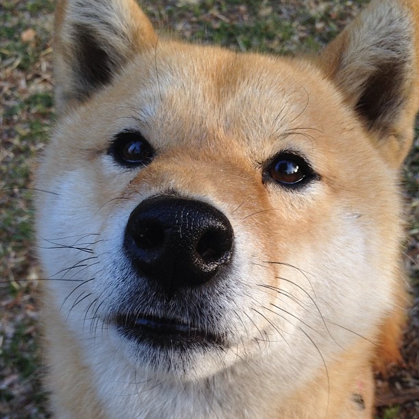 全国青少年体育舞蹈大赛青春光彩耀眼，全国青少年舞蹈展演