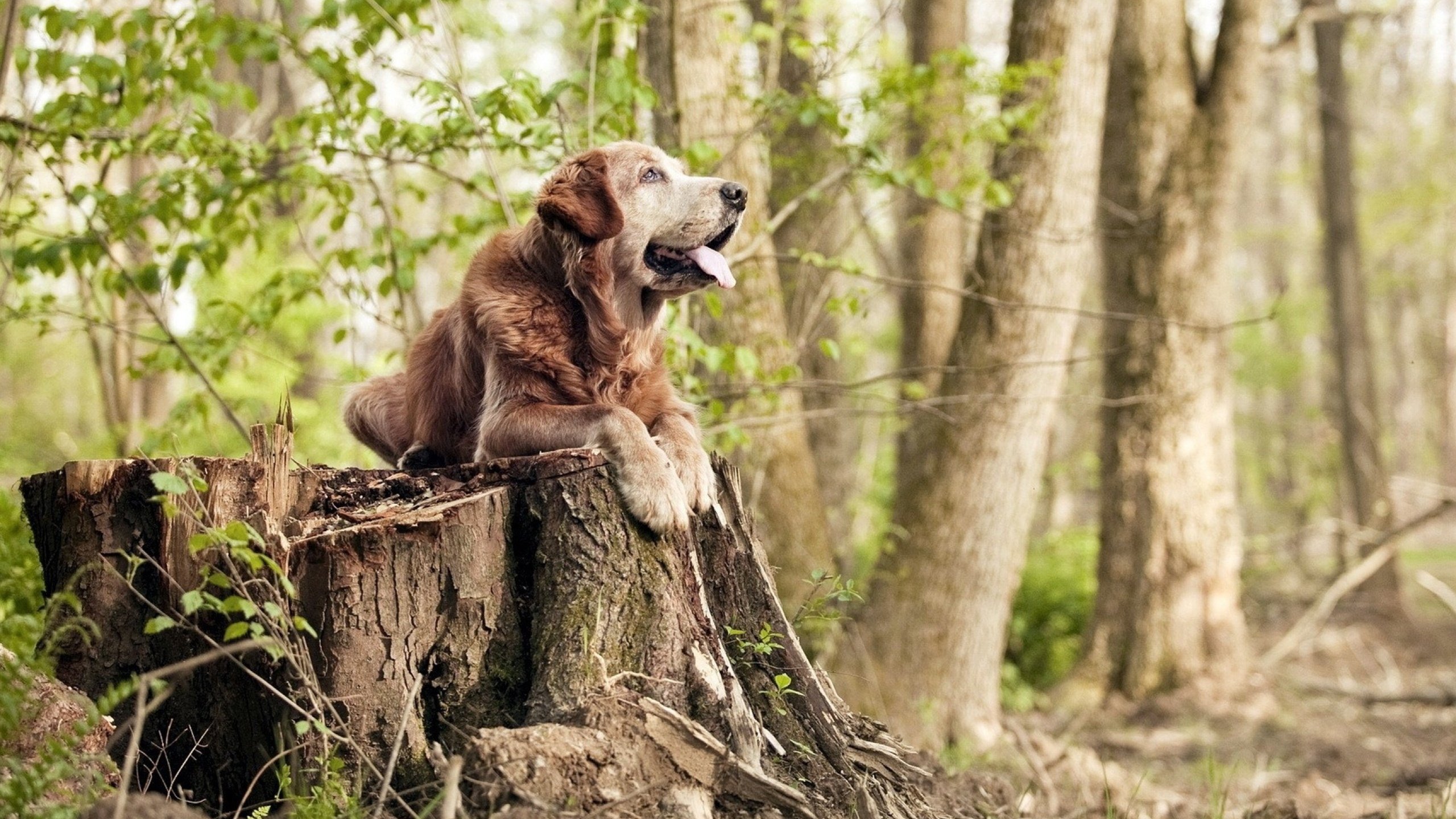中超青训营举办家长开放日展示球员日常训练情况，中超青年球员新闻微博