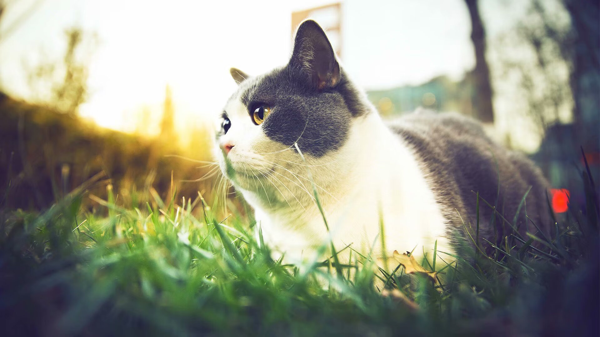 篮球运动员比赛数据采集与战术分析技术,篮球比赛数据录入