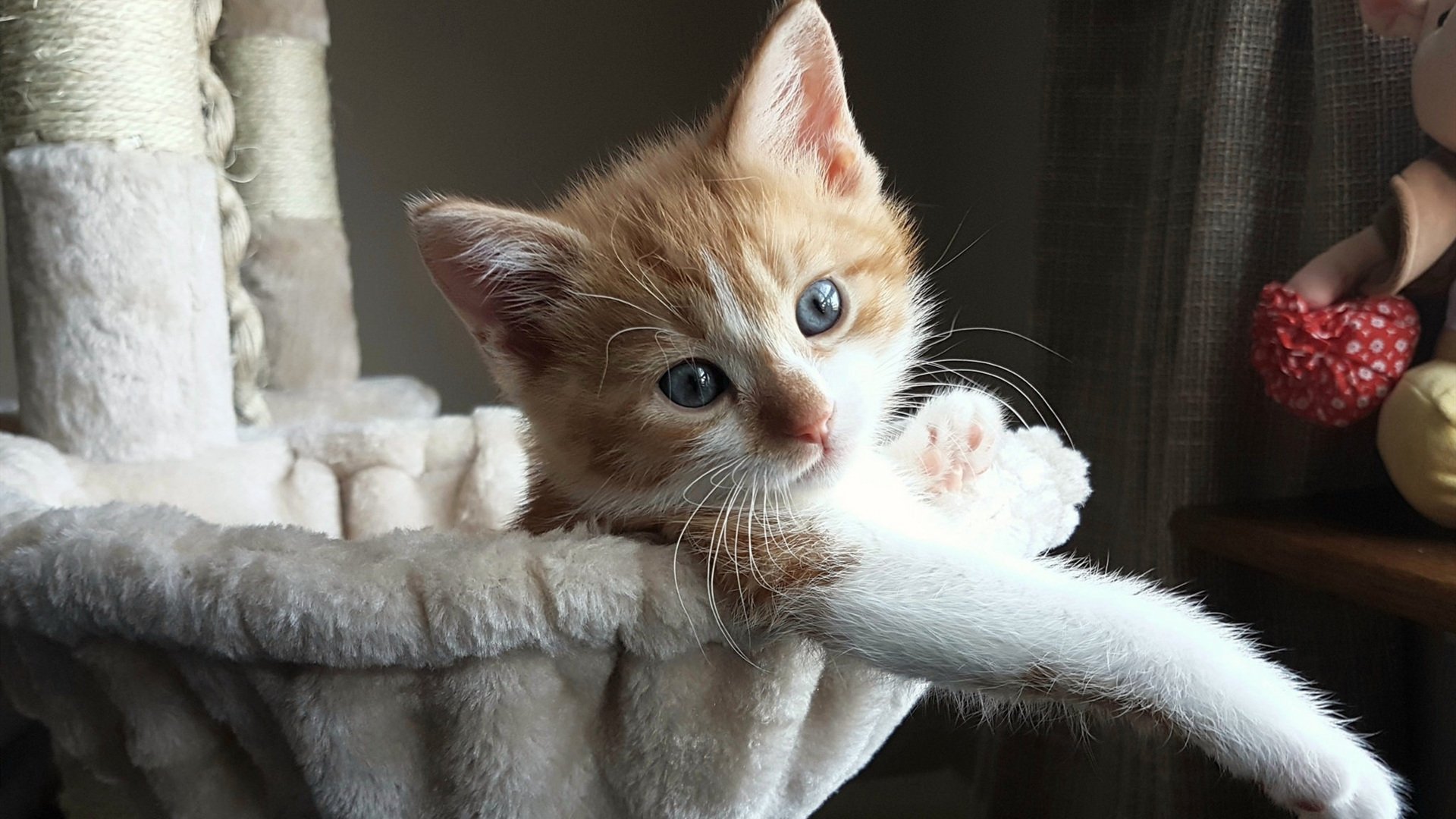 篮球运动员比赛数据采集与战术分析技术,篮球比赛数据录入