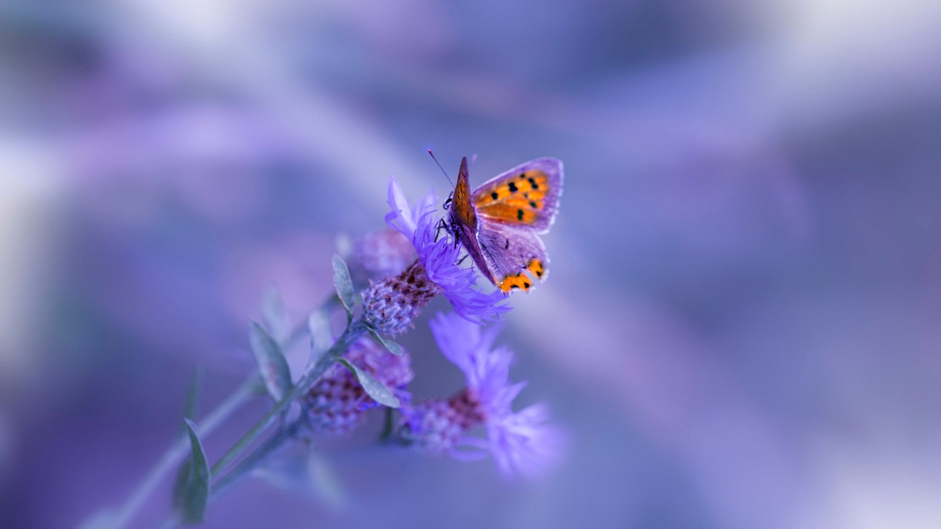 青少年体育运动安全教育体系建设，2020年青少年体育工作要点