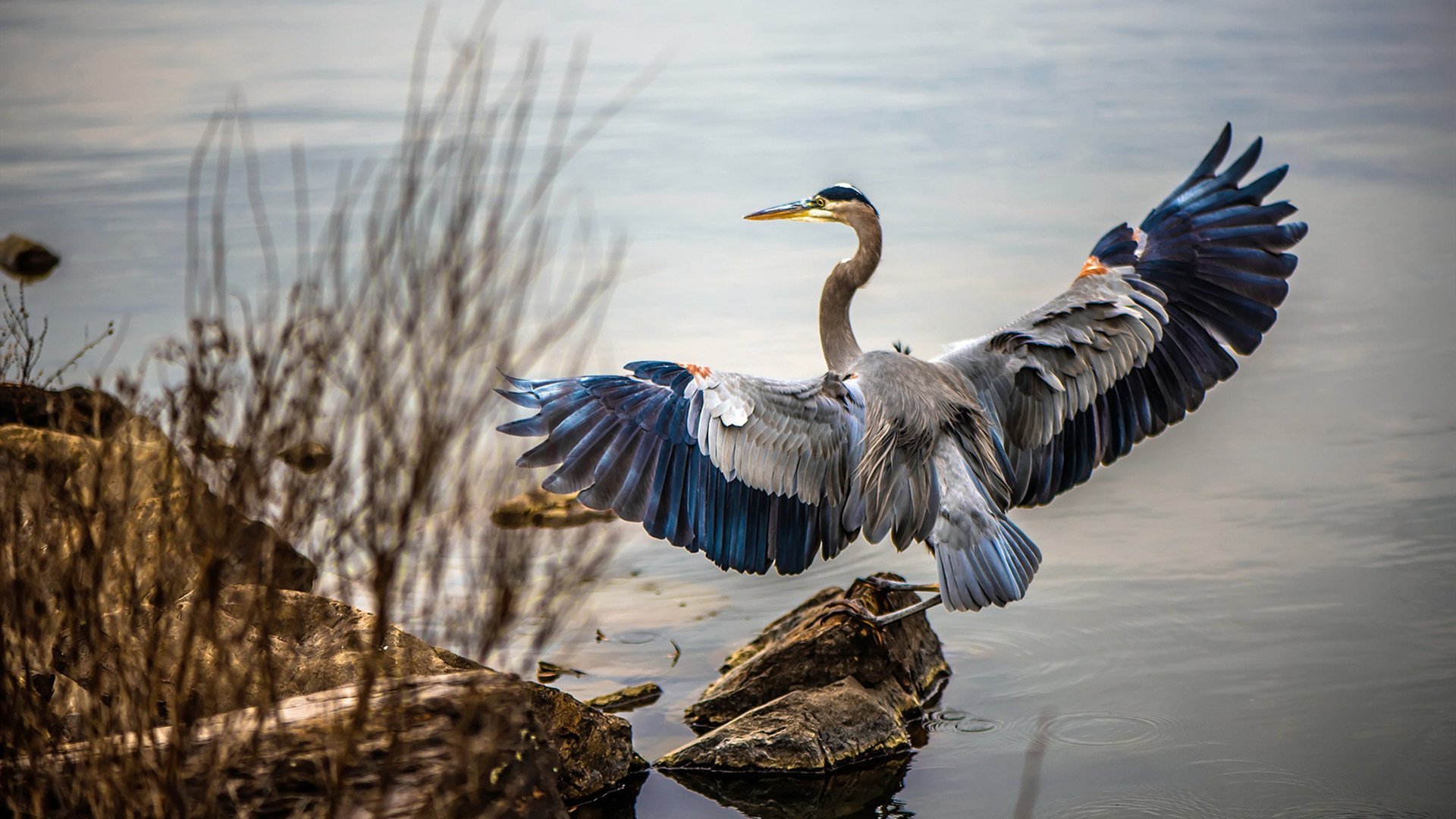 爱游戏 电竞-中国三人篮球男队注重团队精神培养，中国三人男子篮球队队员
