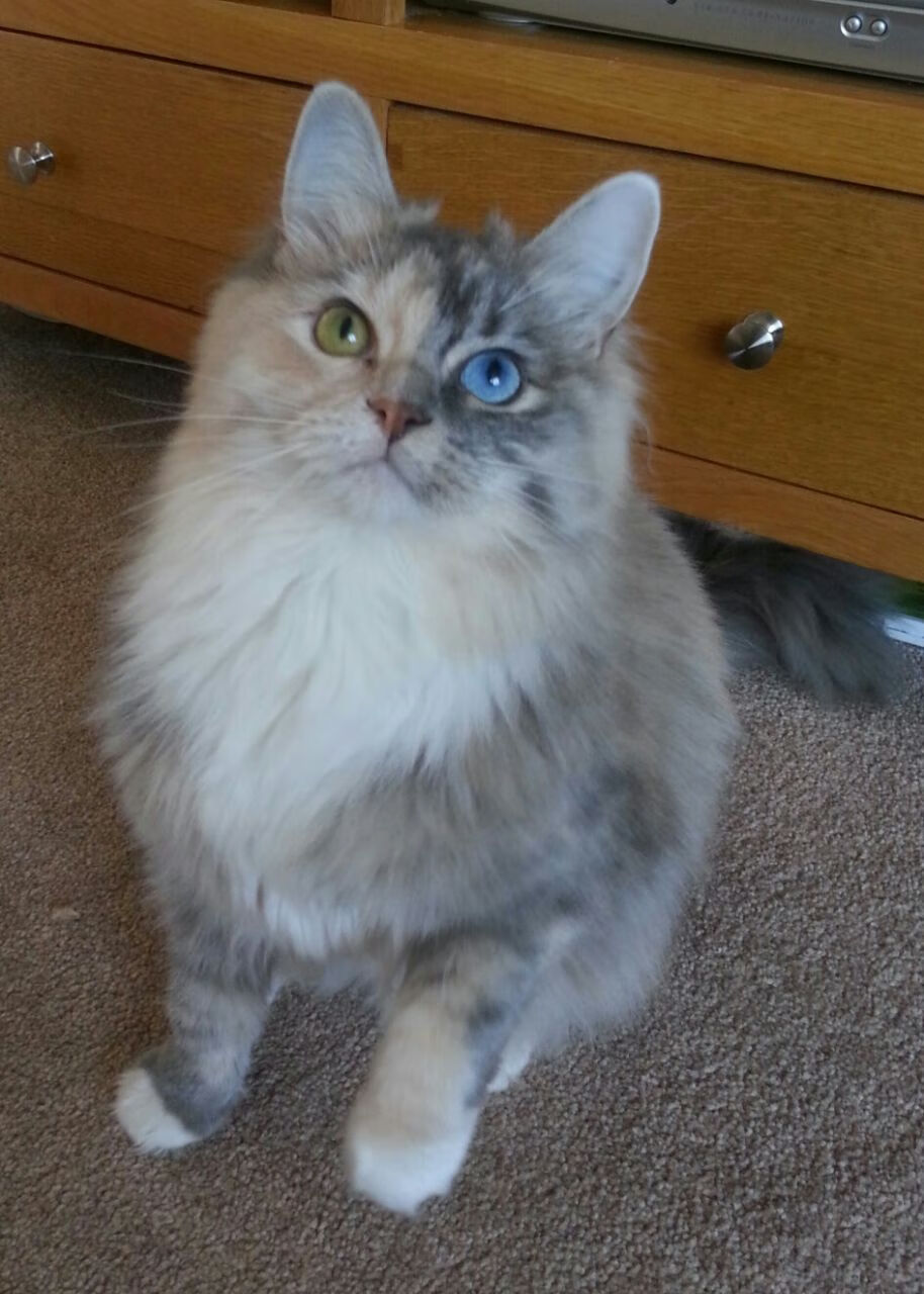 中国三人篮球男队注重团队精神培养，中国三人男子篮球队队员