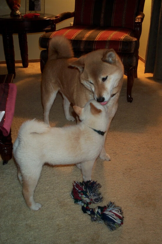 中国男篮备战亚预赛新战术曝光引发热议，男篮亚预赛中国队